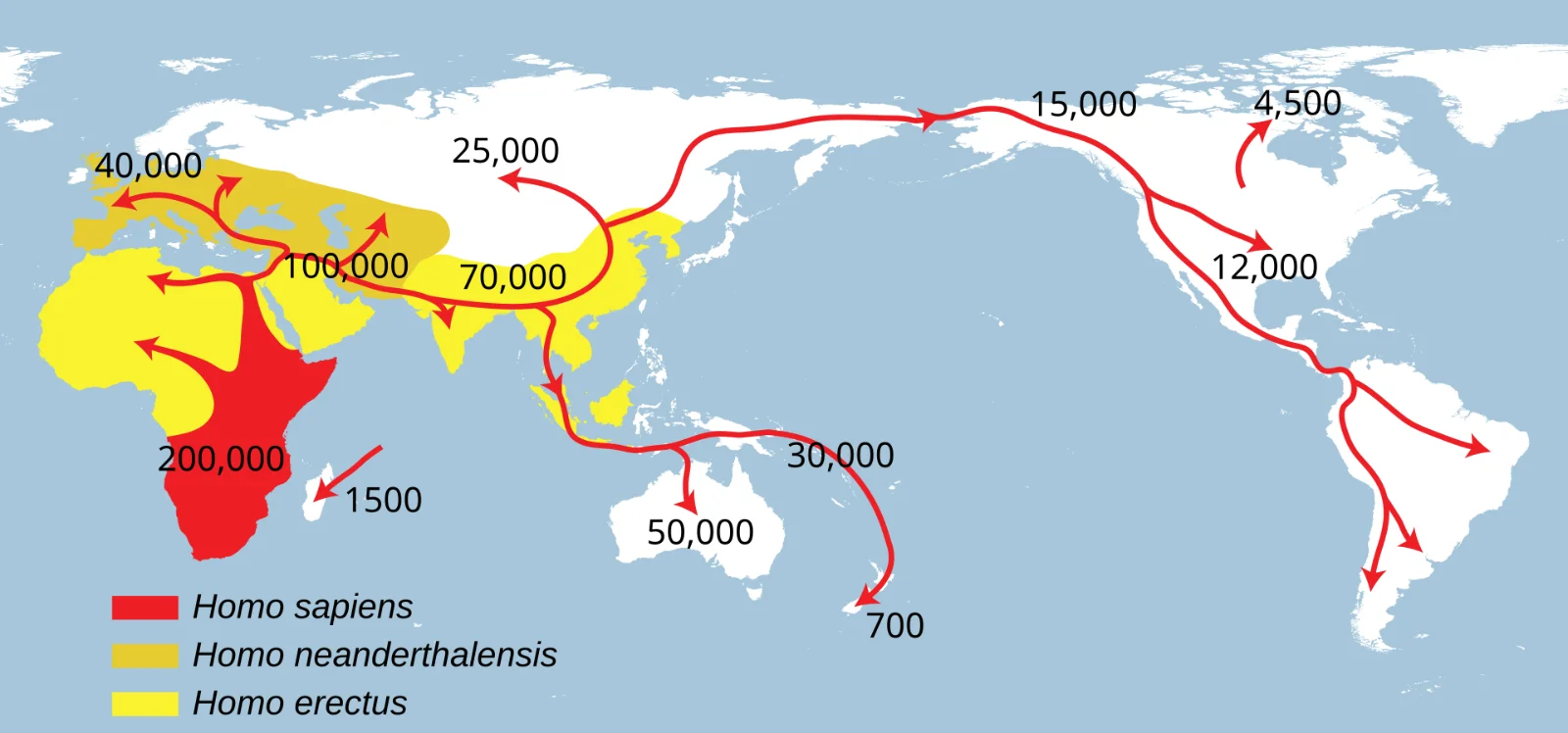 Map of the spread of modern humans out of Africa