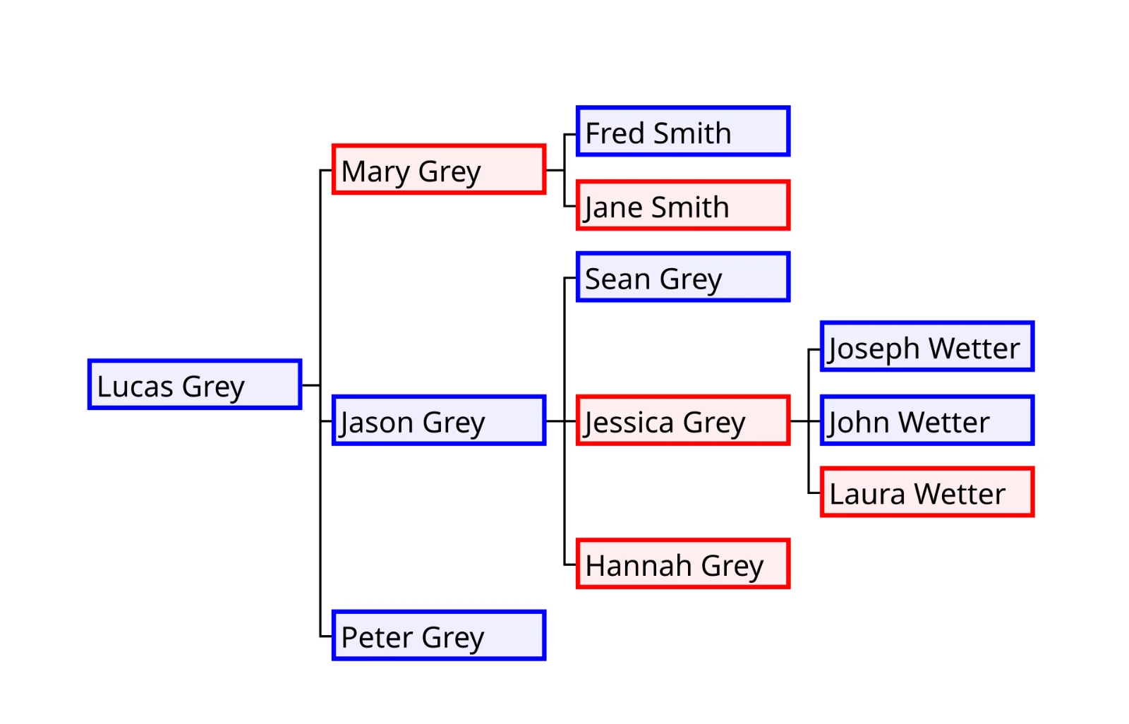 Example family tree diagram